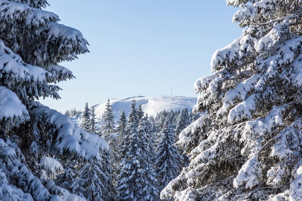 Waldlicht Titisee Exterior photo